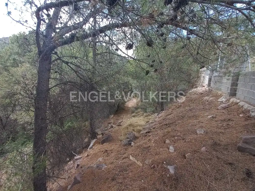 Lands and plots for sale in Serra, imagen 20