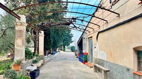 Chalet con finca rústica a 3 minutos del centro de Tortosa  Naturaleza y ciudad en un mismo lugar, imatge 4