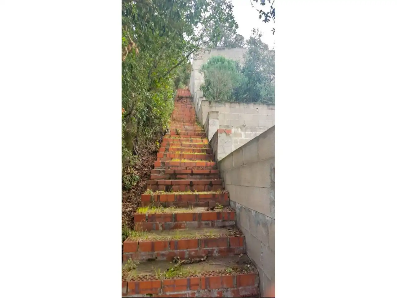 Rustikales Grundstück zum Verkauf in Calle MAR CANTÁBRIC 109, imagen 11