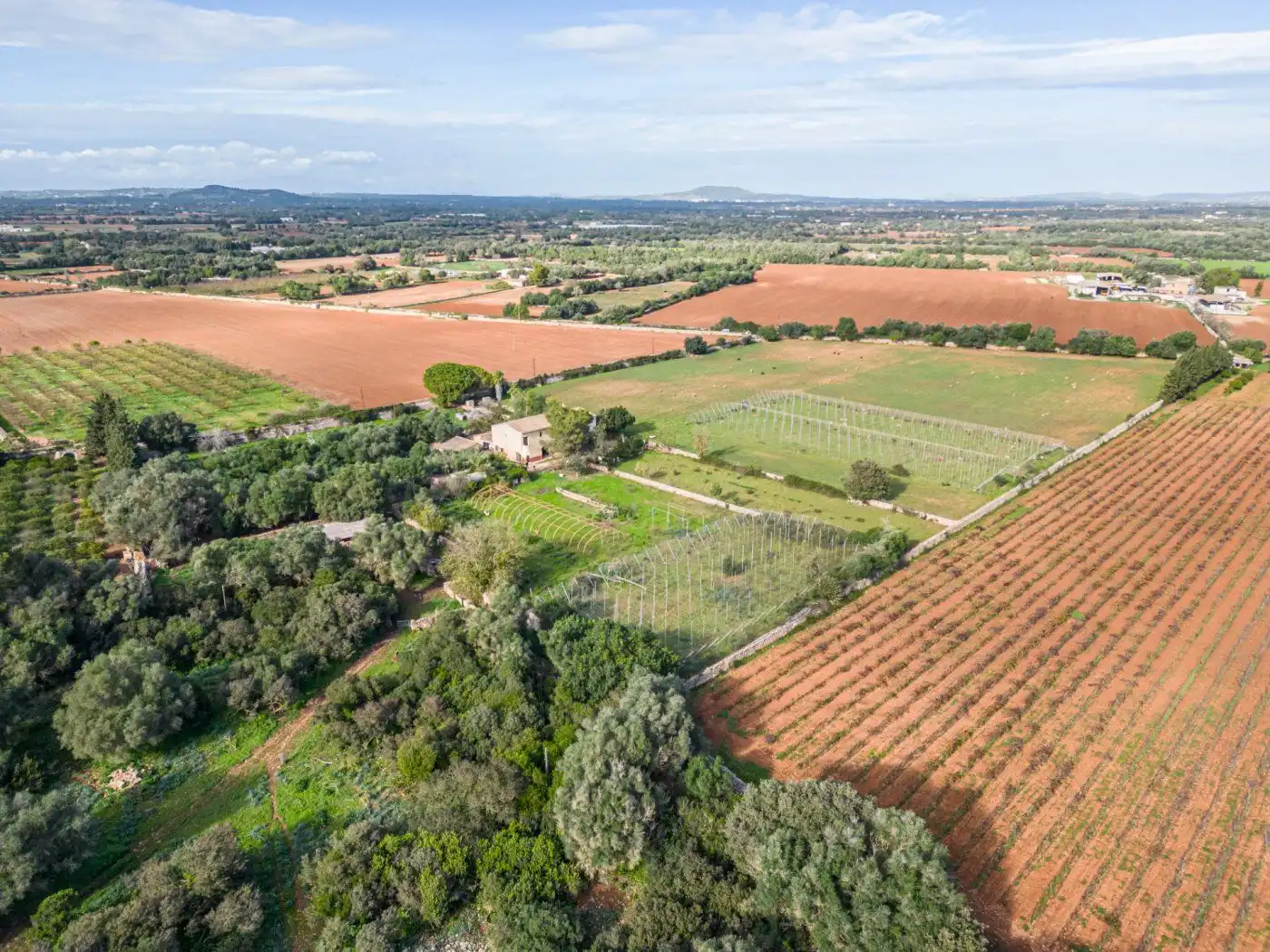 Residential land for sale in S'Horta - Cas Concos des Cavaller - Es Carritxó, imagen 2