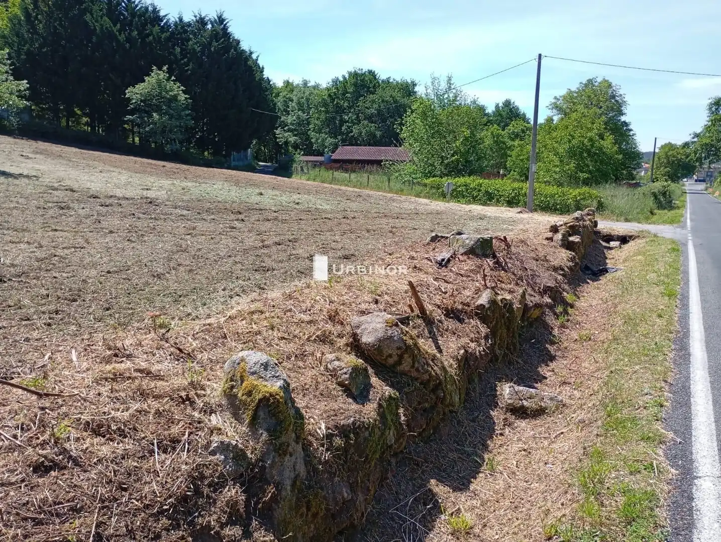 Terreni e lotti in vendita a O Pereiro de Aguiar, imagen 9