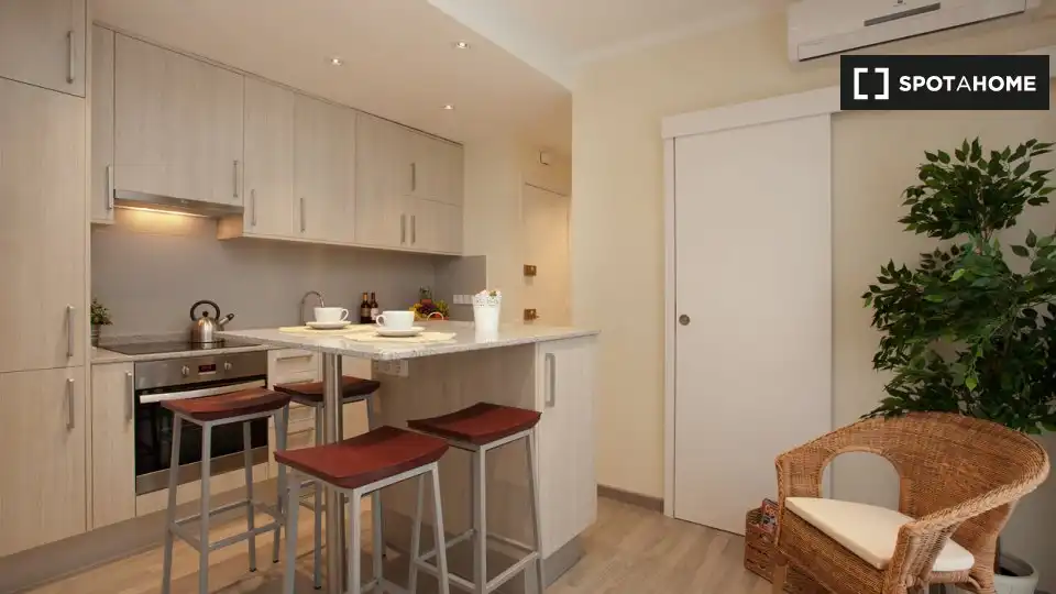 Cuina de Pis de lloguer en Barcelona amb Aire condicionat, Calefacció i Moblat