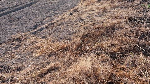 Parcela rústica de 1.600 m² - a 2 minutos del Club Cordillera, imatge 3