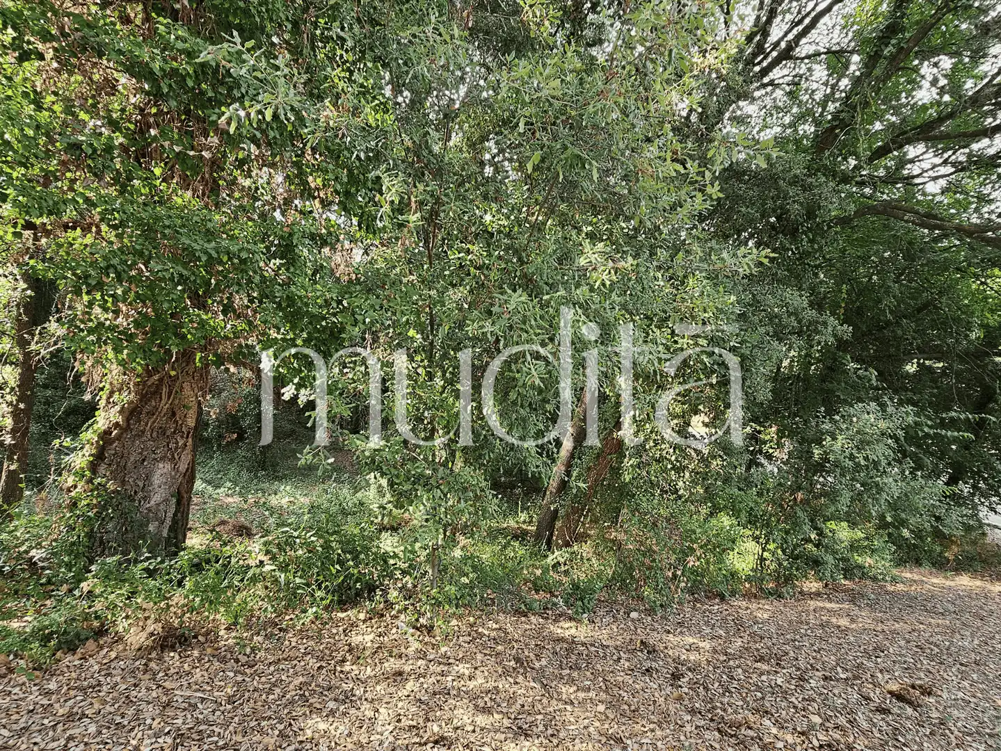 Residential land for sale in del Xaloc, imagen 3