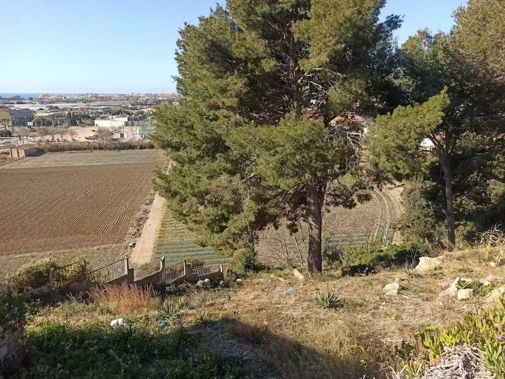 Residential land for sale in Santa Susanna, imagen 8