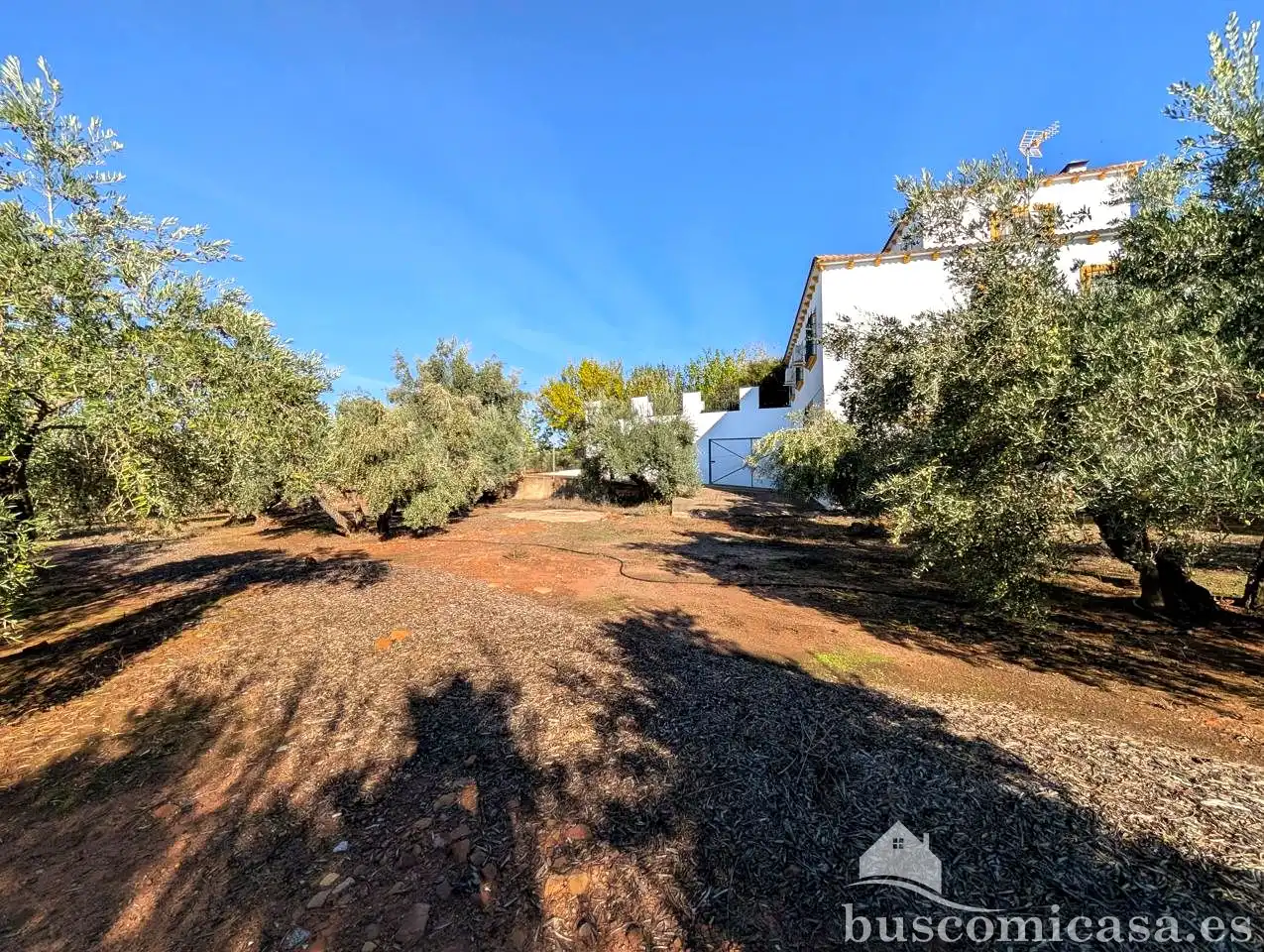 House with pool for sale in Diseminado, imagen 43