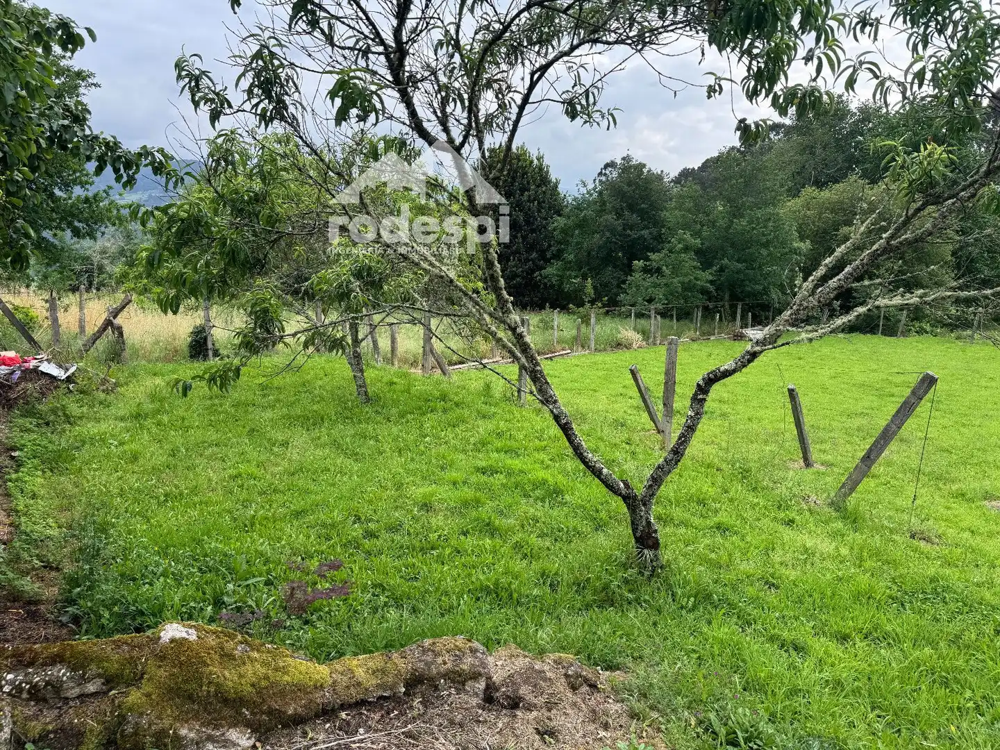 Casa o xalet en venda en Crecente amb Traster i Moblat