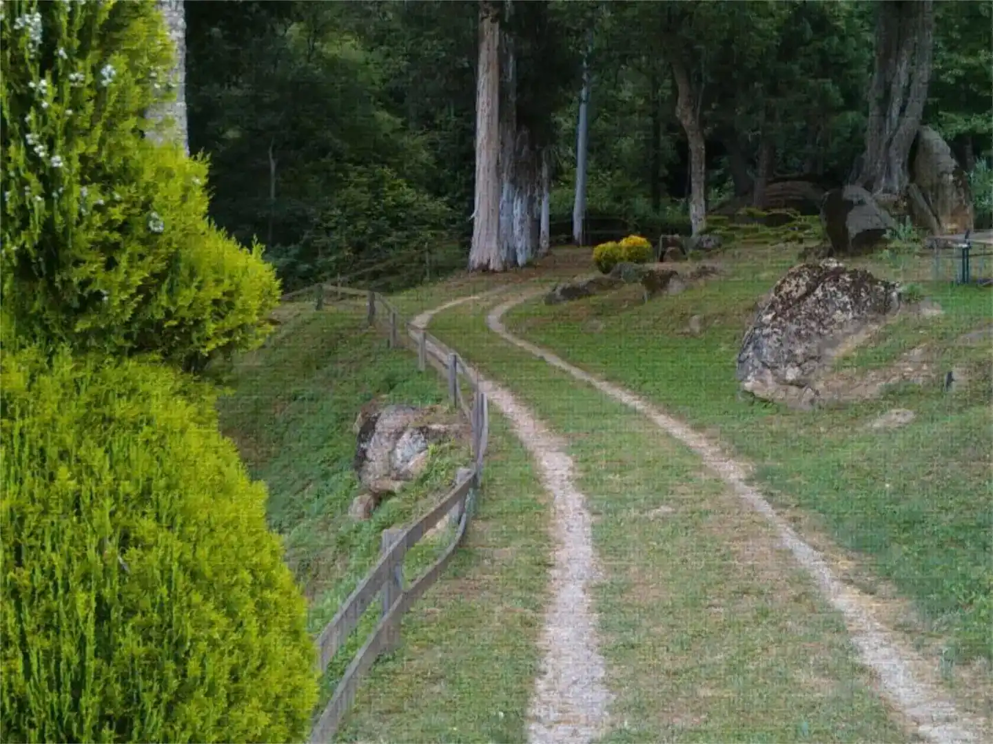 Jardí de Finca rústica en venda en Sant Aniol de Finestres amb Piscina