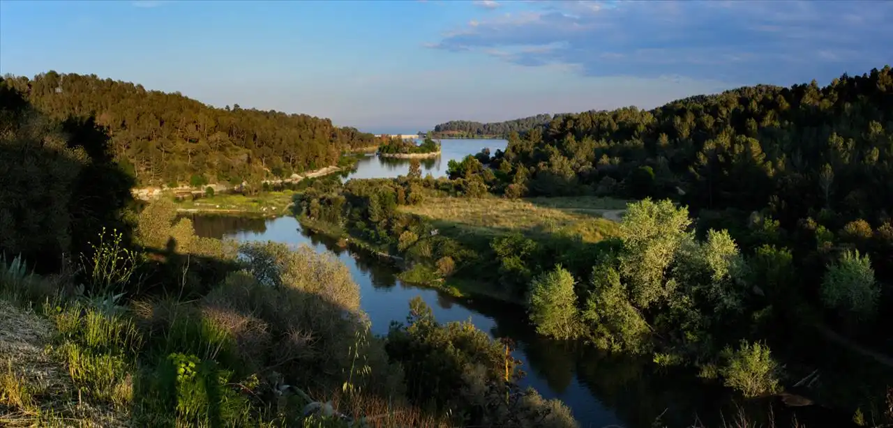 Terreno residenziale in vendita a Vallesa, imagen 6