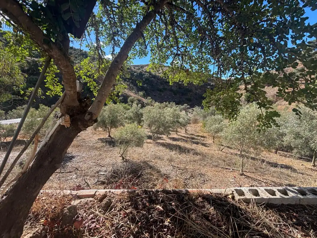 Finca rústica en venta en Polígono 23 Parcela 90 LAS FUENTES. ALMOGIA (MÁLAG, Almogía