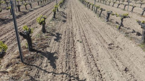 Photo 3 of Land for sale in Plaza la Iglesia, 2, Cazurra, Zamora