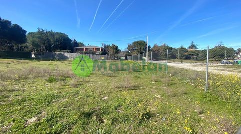 Foto 5 de Residencial en venda a Pinar de las Rozas, Las Rozas de Madrid