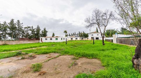 Foto 4 de Finca rústica en venta en Los Franceses – La Vega, Chiclana de la Frontera