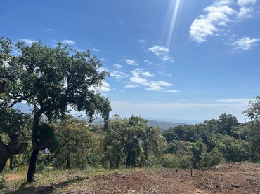 Terrain résidentiel à vendre à Ojén pueblo