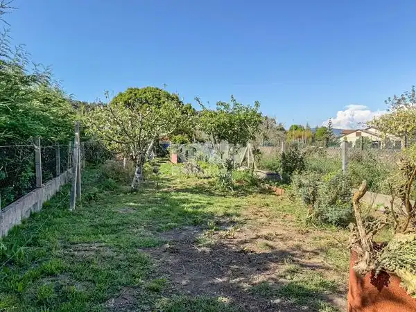 Casa con jardín en venta en Avenida Paseo Portugal, imagen 50