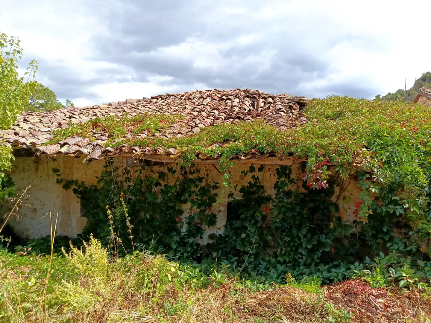 Vista exterior de Finca rústica en venta en Merindad de Valdivielso con Jardín privado