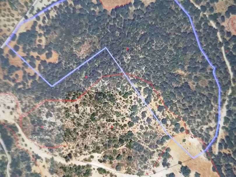 Land for sale in Coripe