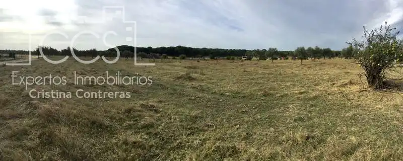 Casa rústica en venda a Almonte ciudad, imagen 13