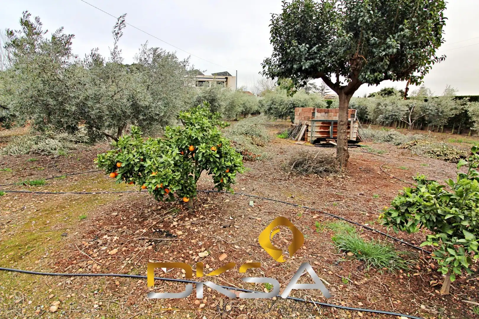 Detached house with pool for sale in Partida MADRIGAL O, imagen 46