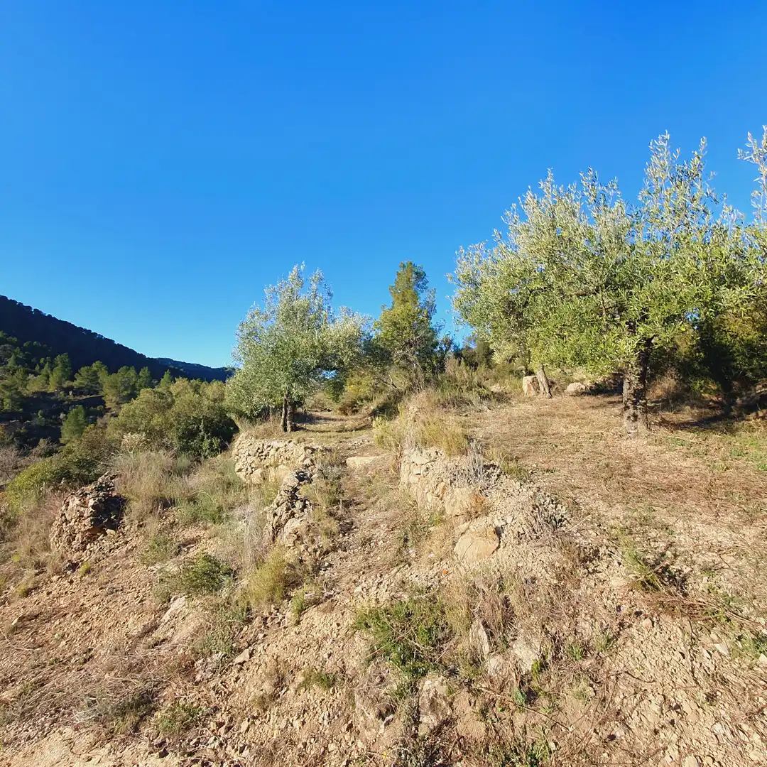 Maison à vendre à Benifallet, imagen 16