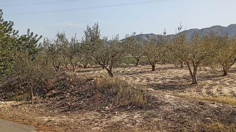 Foto 5 de Casa o chalet en venta en Mojácar Pueblo, Almería