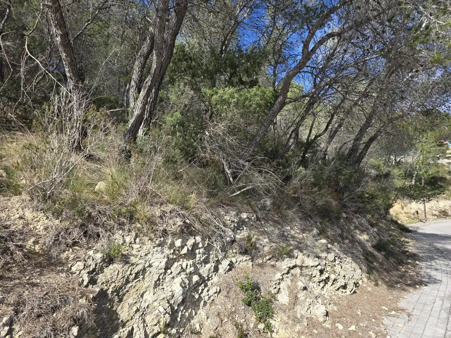 Wohnbaugrundstück zum Verkauf in Carrer de Mercuri 17, imagen 4