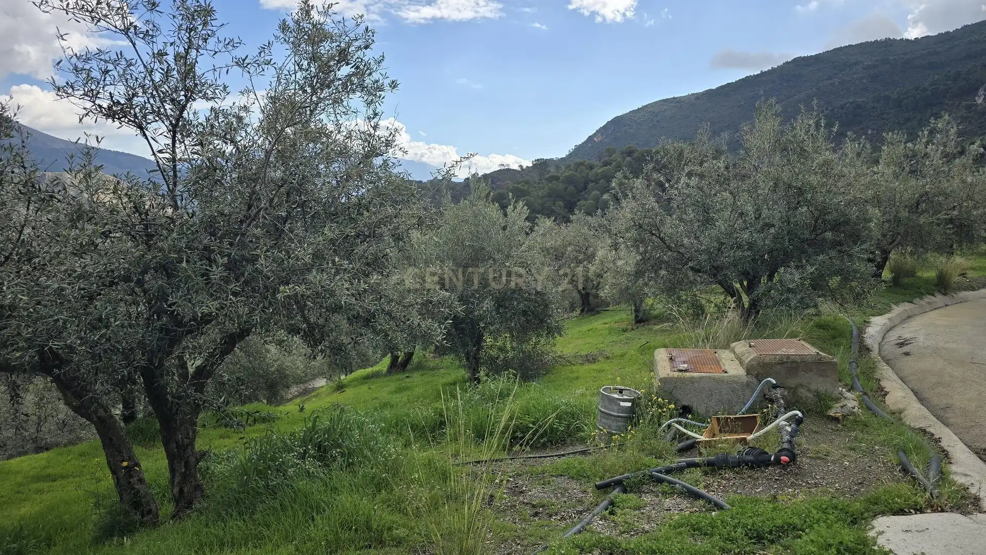 Terreno rustico in vendita a Polígono 11 Parcela 96 EL CERRILLAR. LOS GUAJARES (GRANADA), imagen 8