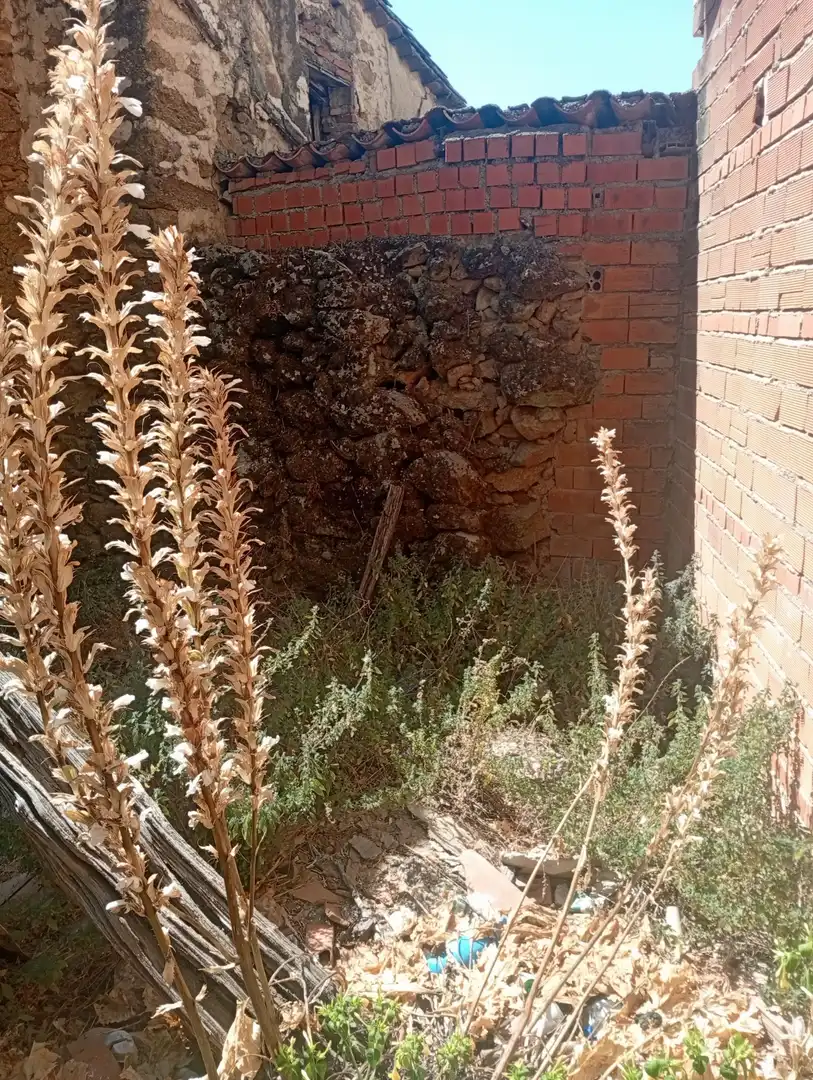 Jardín de Residencial en venta en Talaveruela de la Vera