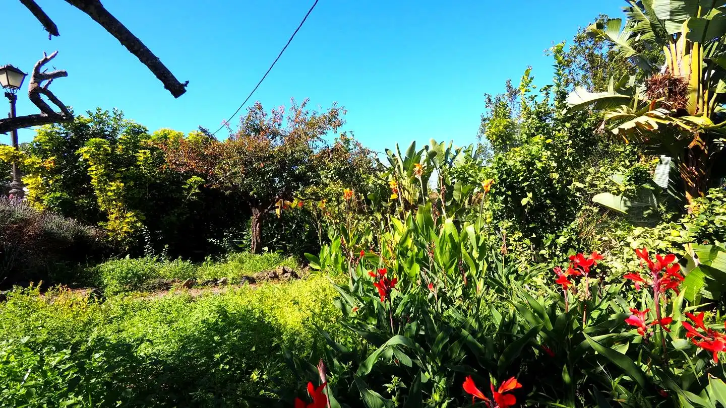 Casa rústica en venda a La Vega - El Amparo - Cueva del Viento, imagen 14