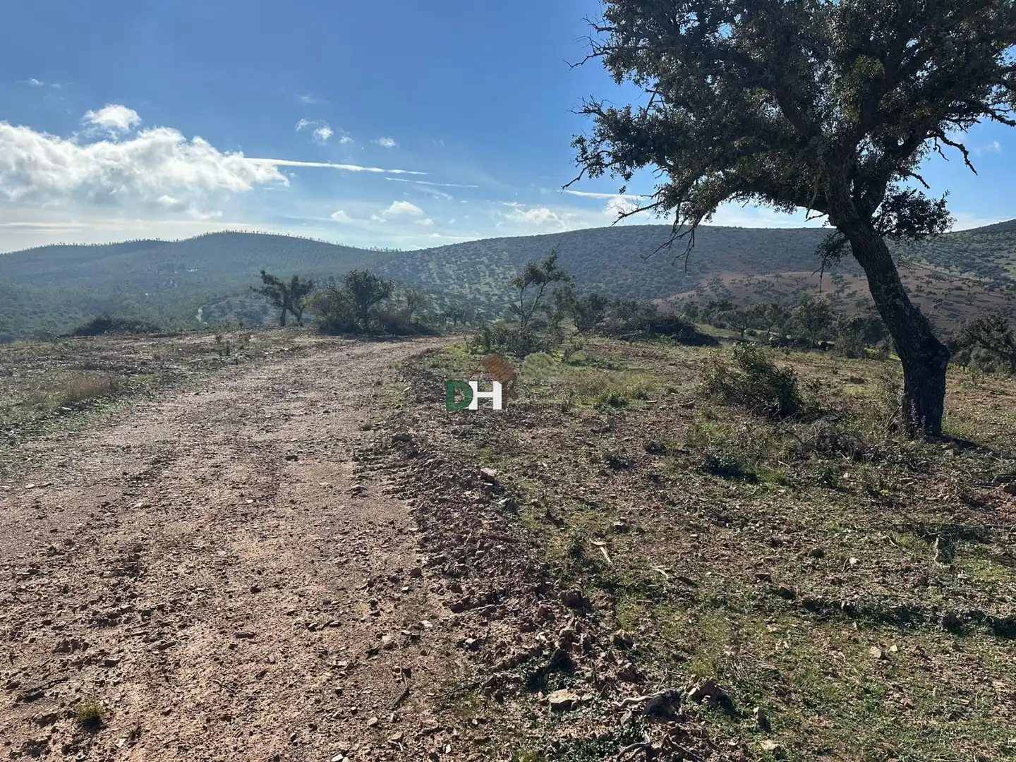 Terreni e lotti in vendita a Carretera de Sevilla - Los Montitos, imagen 9