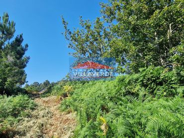 Lands and plots for sale in Darbo