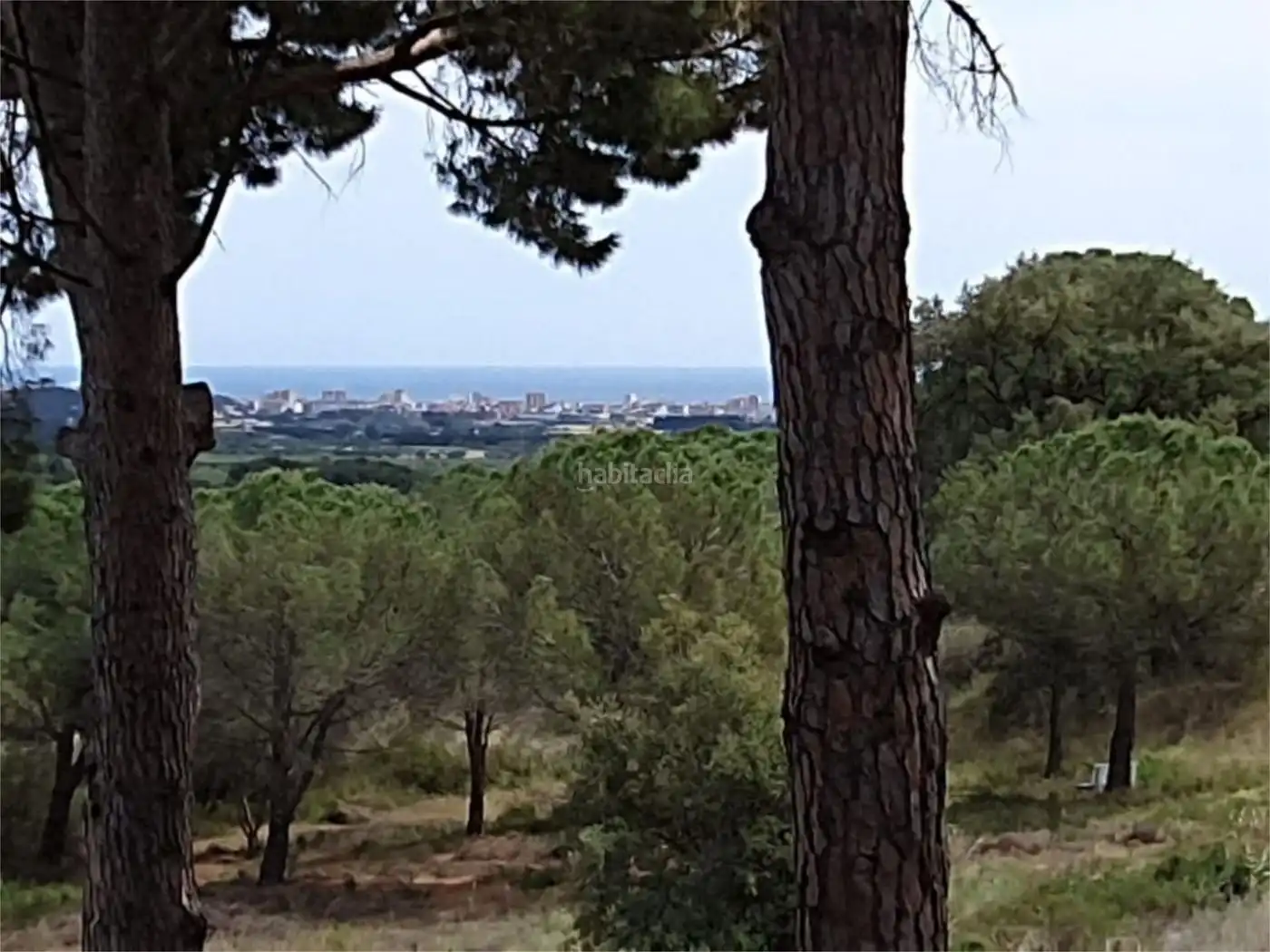 Haus mit Garten zum Verkauf in Carrer Castella i Lleó 11, imagen 10