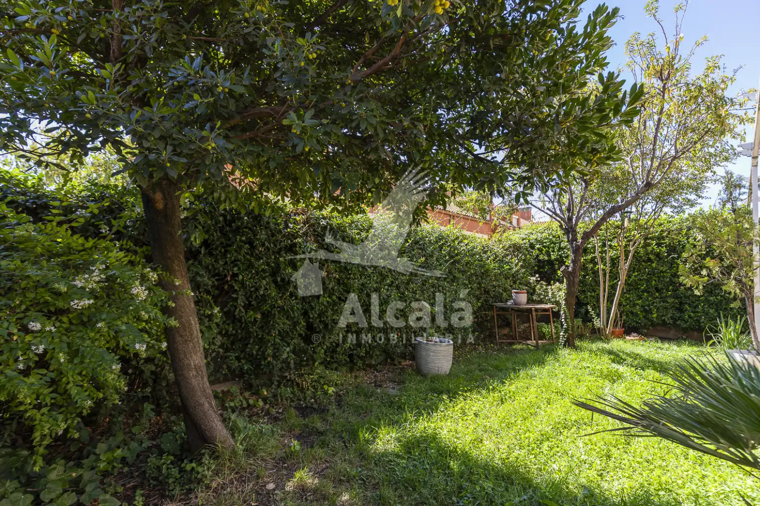 Jardín de Casa o chalet en venta en La Garena