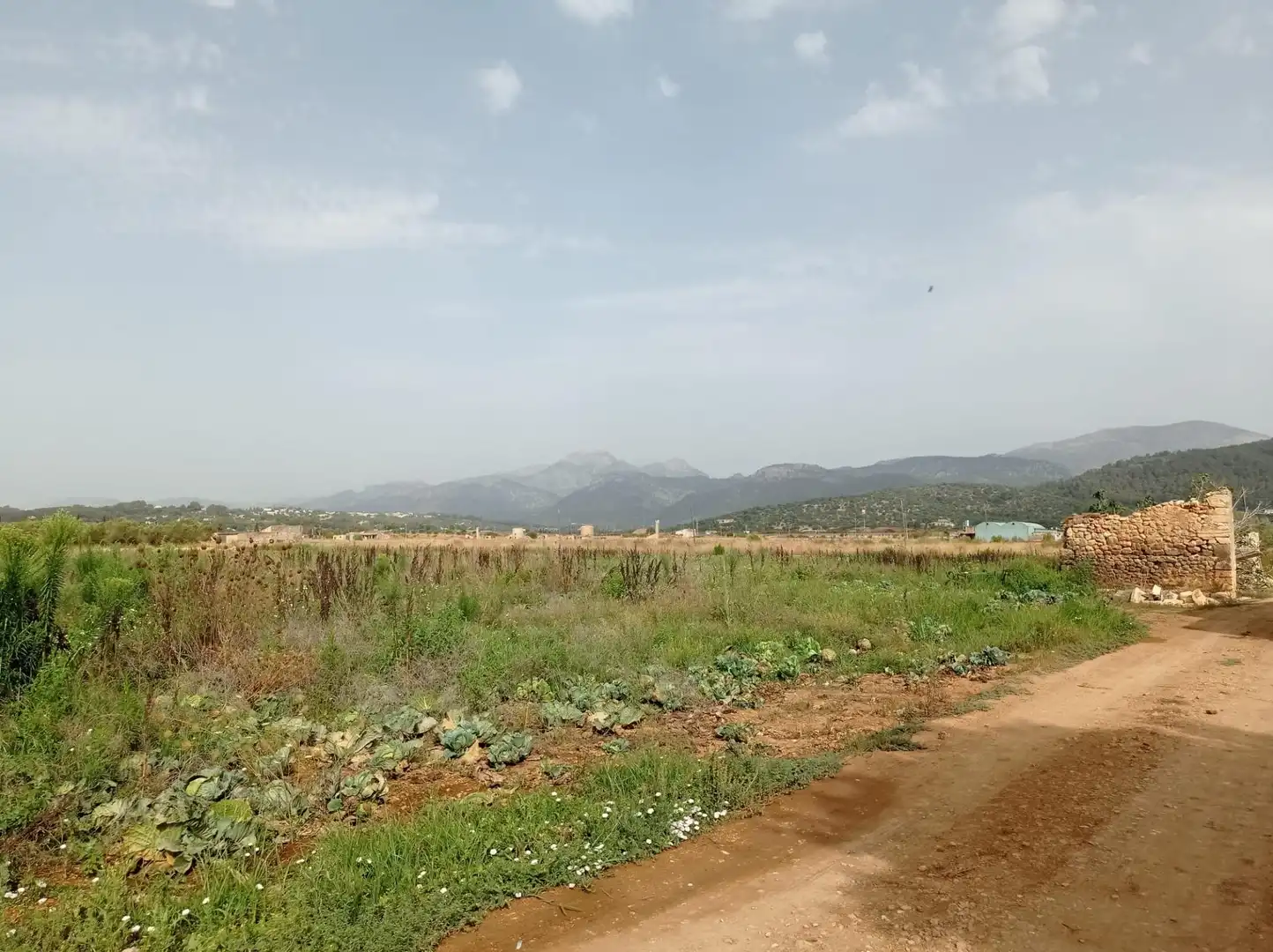 Residencial en venta en Búger