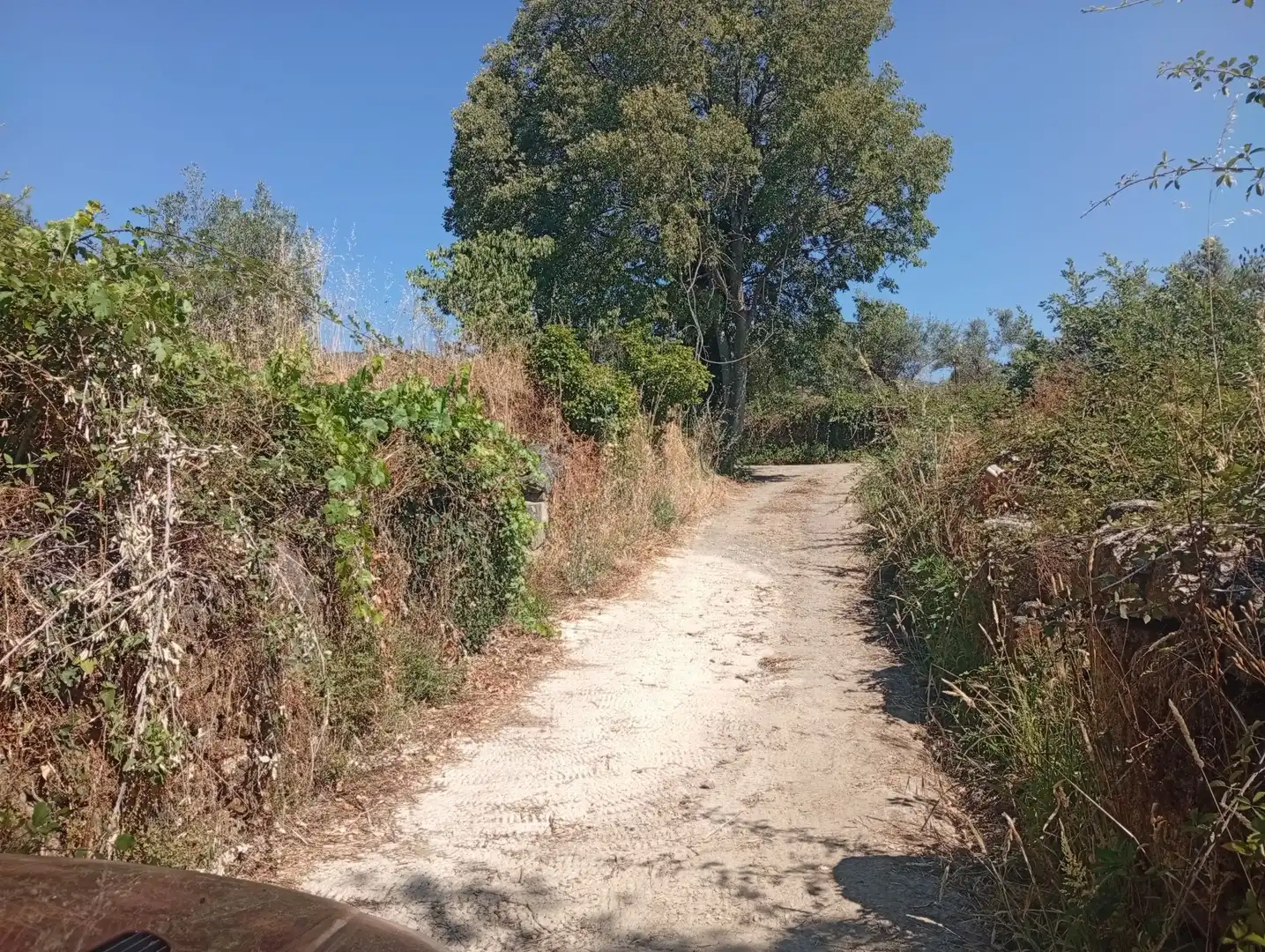 Terreni e lotti in vendita a Villanueva de la Vera, imagen 41