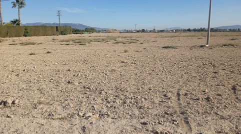 Parcela proxima Lorca!, immagine 5