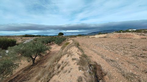 Foto 5 de Terreno en venta en Monóvar / Monòver, Alicante