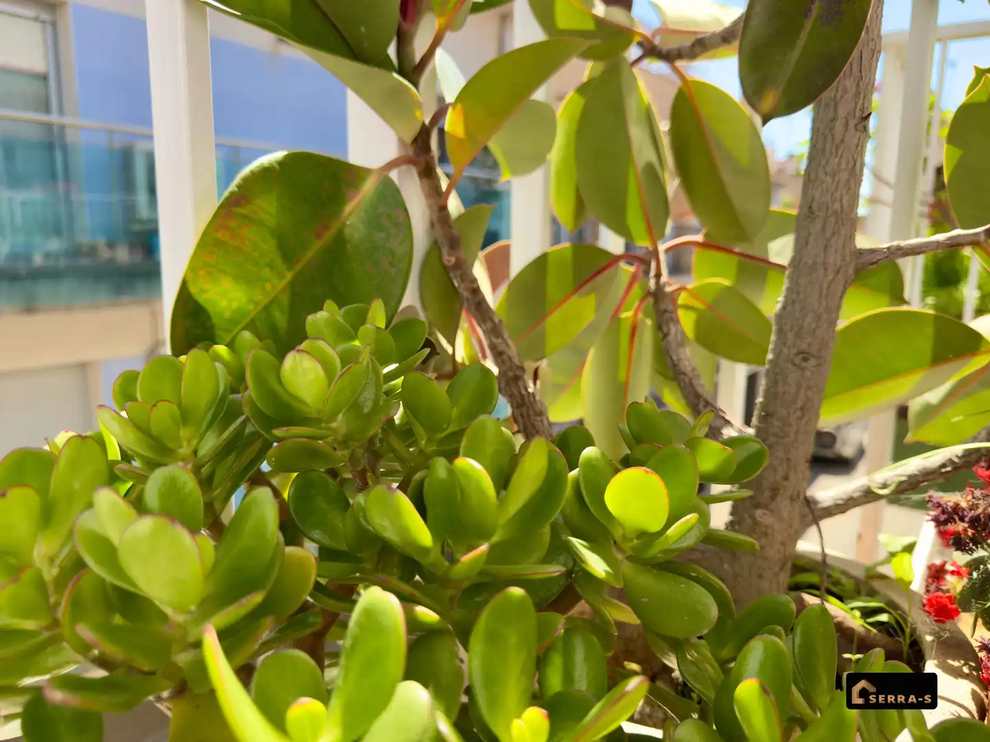 Garten von Wohnung zum Verkauf in Malgrat de Mar mit Klimaanlage und Balkon