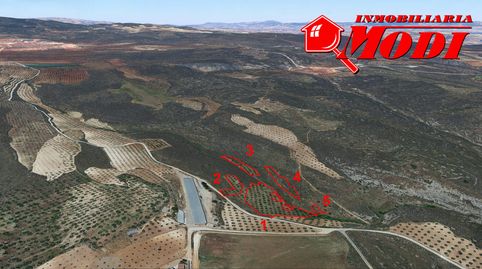 CINCO FINCAS POR EL PRECIO DE UNA , es algo bueno  no te los crees ? Llámame. Te ofrecemos 8.148 m2 en total y por separado  tiene, imatge 3