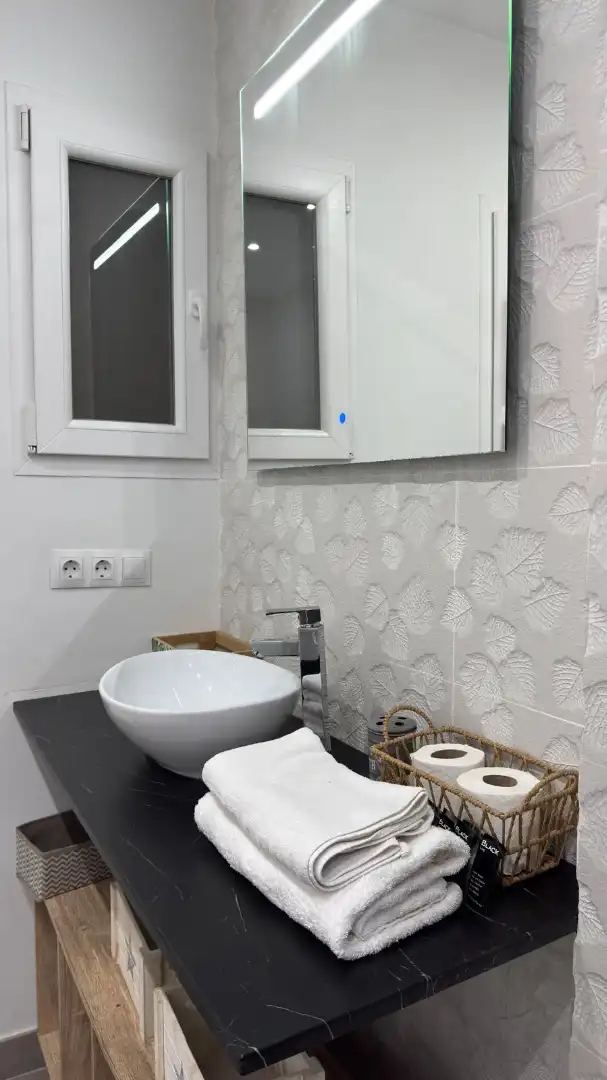 Bathroom of Apartments for sale in Madrid  with Air Conditioner, Heating and Furnished