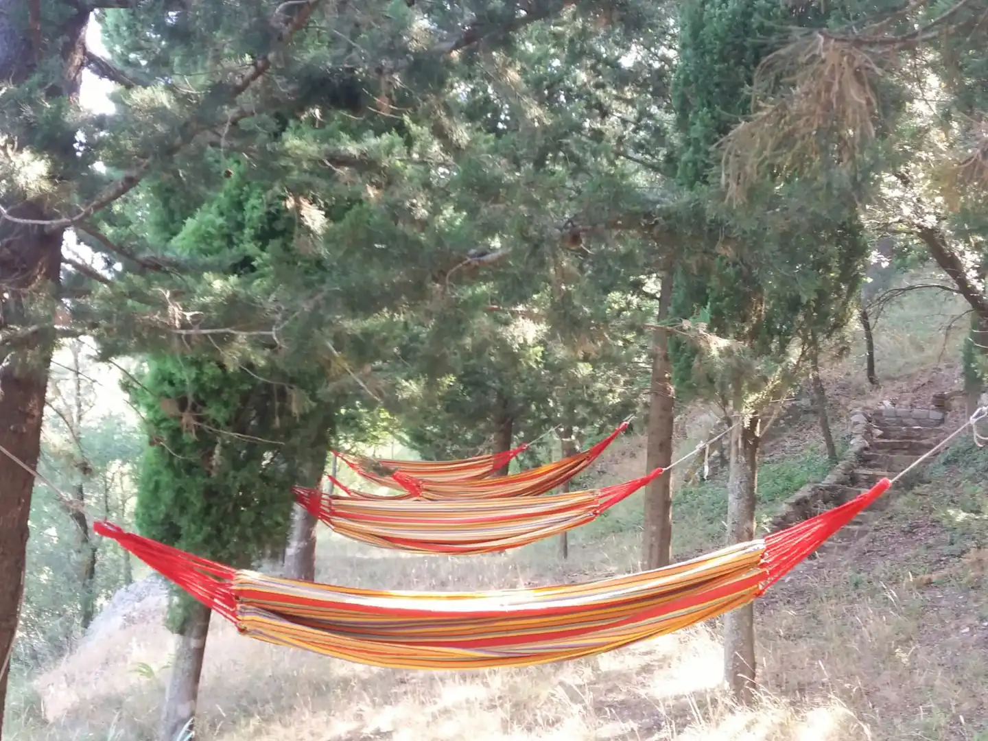 Jardí de Finca rústica en venda en Cornudella de Montsant amb Calefacció, Jardí privat i Terrassa