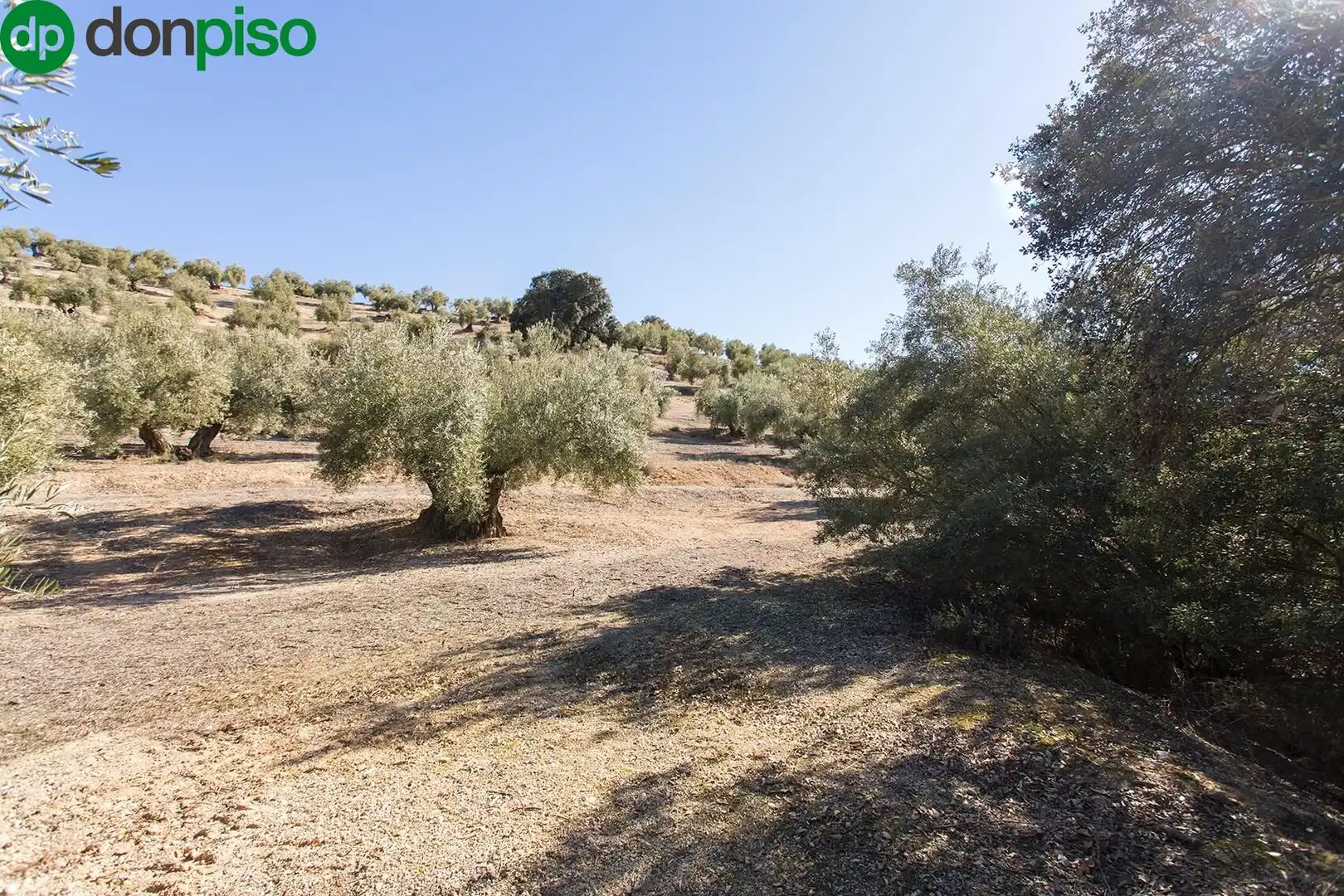 Terreny rústic en venda a Poligono 2 parcela 276 y 409, imagen 13