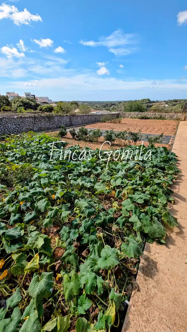 Casa rústica amb piscina en venda a verge del toro, imagen 14
