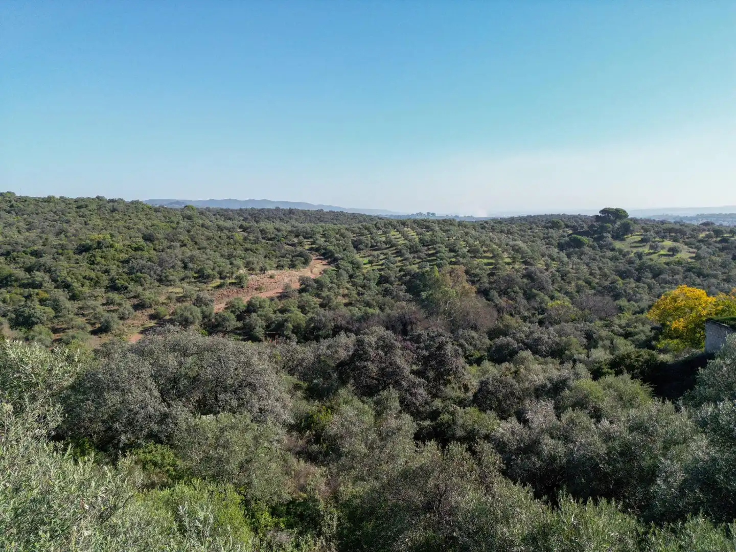 Wohnbaugrundstück zum Verkauf in Avenida san jose de calasanz, imagen 7