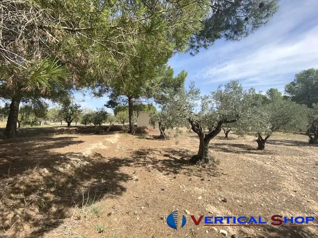 Chalet en venta en Camino Toconera, imagen 23