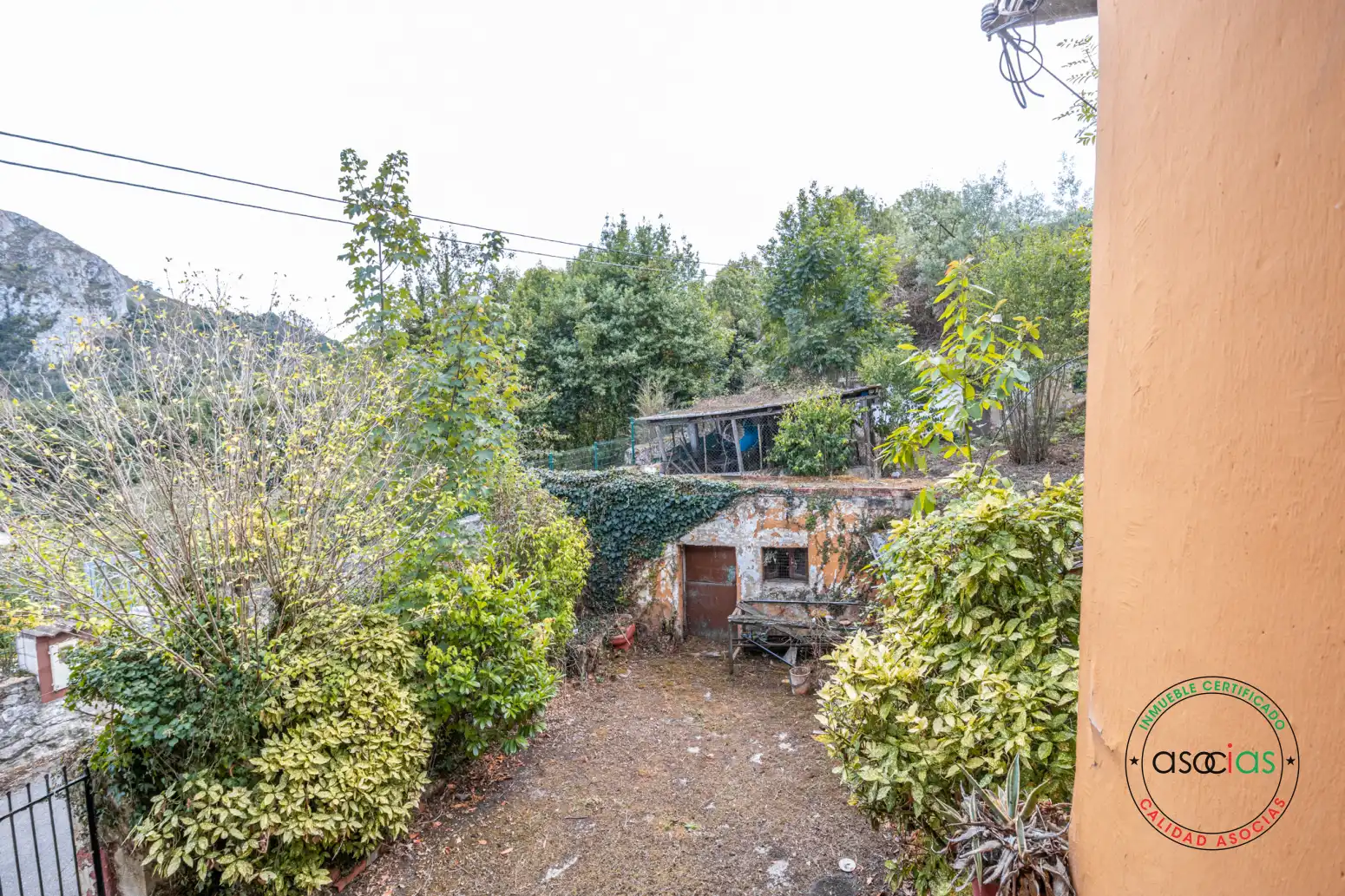 Jardí de Casa o xalet en venda en Oviedo 