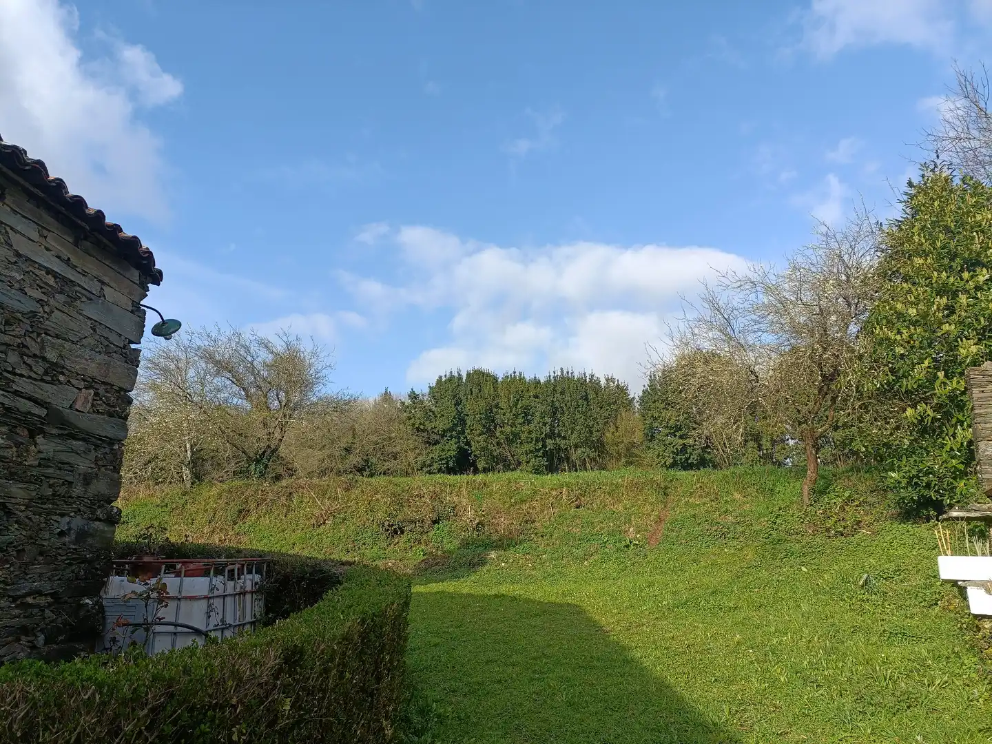 Casa o xalet en venda en Cesuras amb Jardí privat
