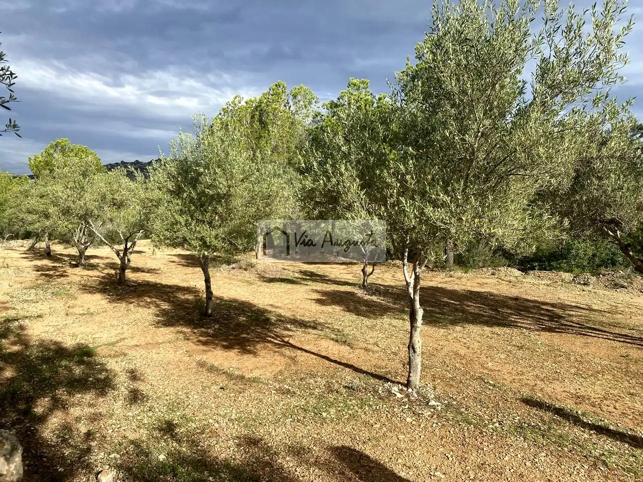 Terreny rústic en venda a Lo Coll d'en Carbo, imagen 18