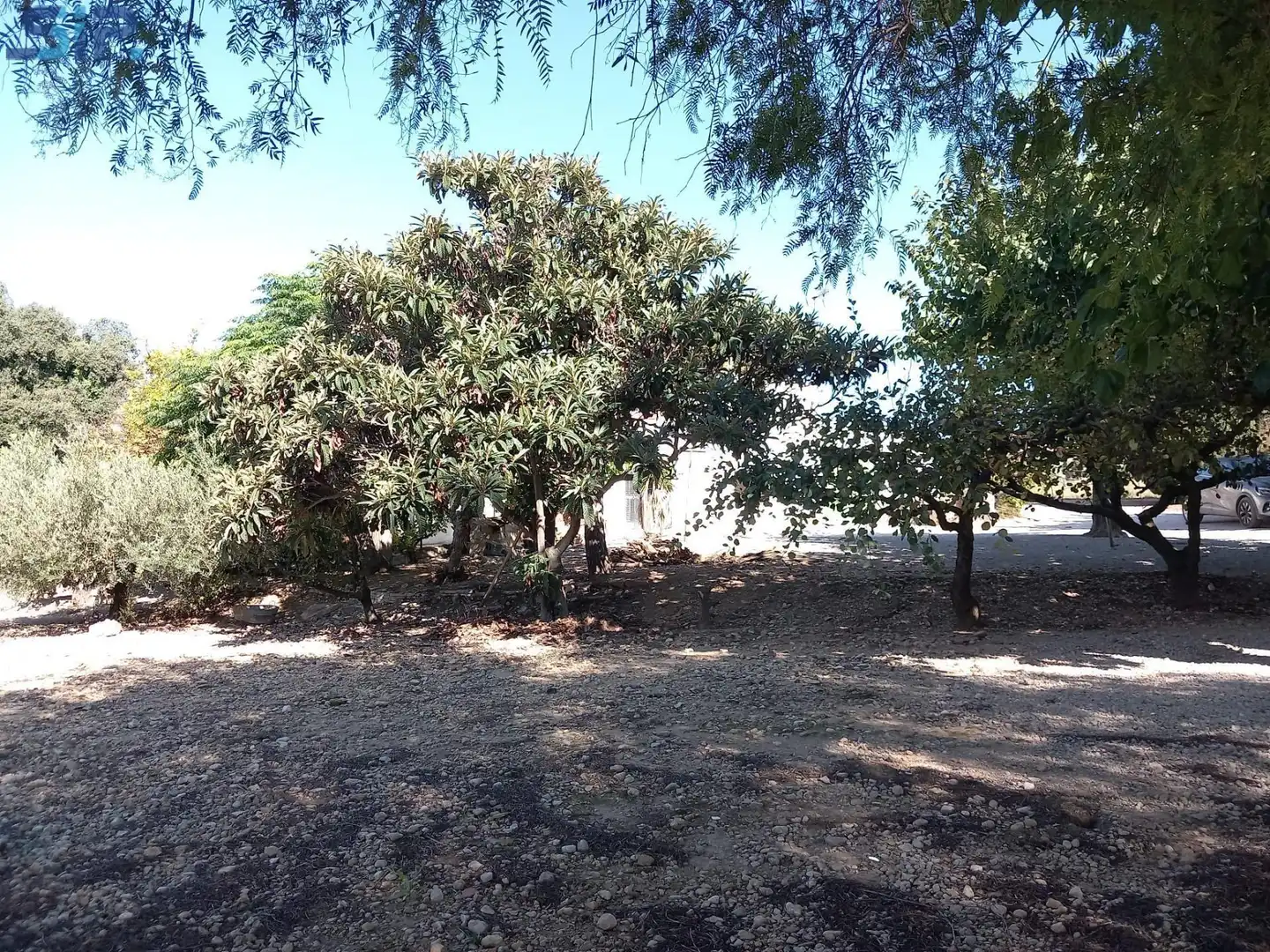 Houses for sale in Sant Martí Sarroca  with Storage room