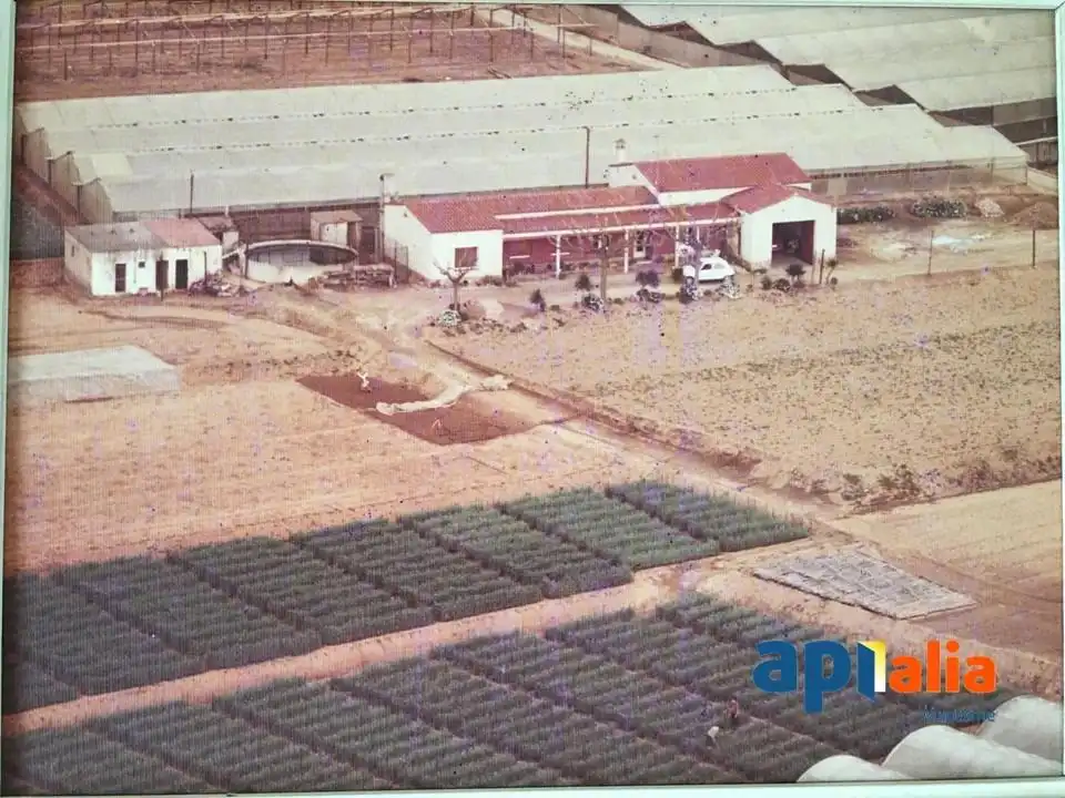 Casa en venta en Zona Industrial i Agrícola, imagen 39
